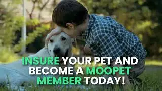 Moo Pet Benefits - Get Discounts on Pet Care with Pet Insurance