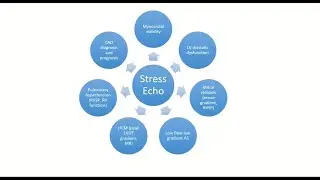 Stress Echocardiography: Principles of Ischemia Evaluation and Clinical Cases