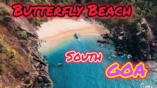 #Butterfly beach🏖#southgoa #hiddengems #dolphin 🐬 watching#beachvibes 😍😍#goatourism 