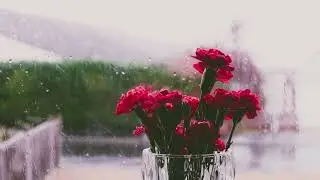 Return to Stillness | 396Hz Rain Meditation