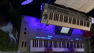 Human League Don't you want me COVER by ALbert