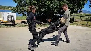 Active Guard