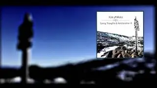 5 - Answers - Kyle Misko [Spring Thoughts & Amelioration III]
