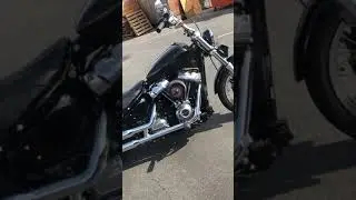 2020 softail standard walk around