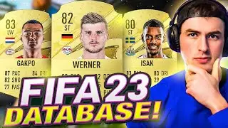 FIFA 23 Database!