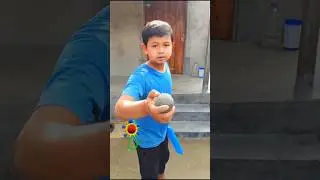 Duckling saves seriously injured cat 🐈 #duckrescue #animalrescue #cuteanimals