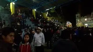 LOBO MIXTECO EN SANTA CATARINA ESTETLA FERIA ANUAL 2019  2/2