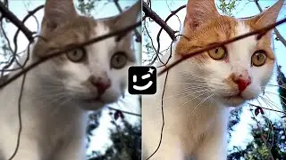 Best Video Enhancer Ai For Free | How To Increase Video Quality with Ai | Video Quality Enhancer App
