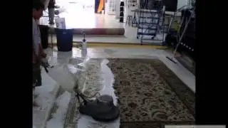 Require for Efficient Rug Cleaning Company to Wash out your Rugs in West Park