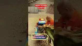 Mesin pencacah rumput #farming #agriculture #mesincacah #shorts