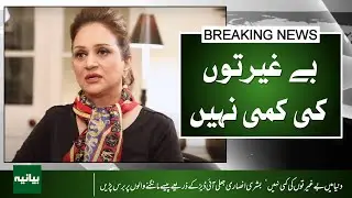 Bushra Ansari Exposes Fake ID Scammers Begging for Money Online
