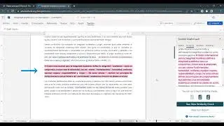 Draft Coach para Microsoft