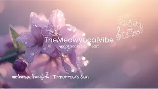 ตะวันของวันพรุ่งนี้ (Tomorrow's Sun) | ☀️Lofi Pop ปลอบโยนวันที่มืดมน แค่คืนนี้ที่มันยาว เดี๋ยวก็เช้า