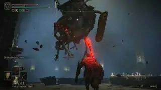 [Elden Ring] Grafted Scion Duo (Fringefolk Hero's Grave) | No Damage Run| 2023