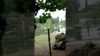 Super Amazing nature in Georgia. Shekvetili Dendrological Park