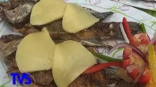 TVS Noticias.- Inauguran la Tradicional Feria de la Mojarra, Hidalgotitl&aacute;n, Ver.
