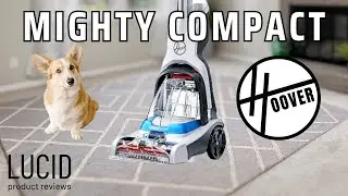 Компактный пылесос для чистки ковров Hoover PowerDash Pet &mdash; долгосрочный обзор