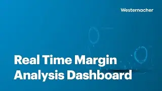 Margin Analysis Dashboard Demo