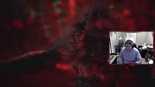 MORE MONKEY