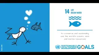 Sustainable Development Goal 14 (SDG14) - Life Below Water by Articulating Science