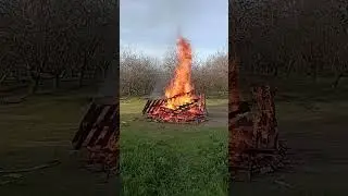 Burn it down#burnitdown#pallets#fire