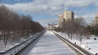 Canada's iconic canal ice rink hasn't frozen this year: What's going on?