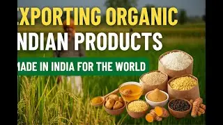 Why the World is choosing Indian Organic Products | Minamma Organics Export Story
