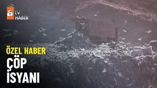 ÖZEL HABER – İzmir’de çöp krizi - atv Ana Haber 13 Ekim 2023