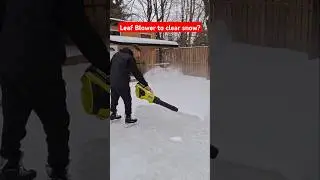 Quick & easy way to clear snow with a leaf blower #snow #snowremoval #winter #shovel #diytips #diy