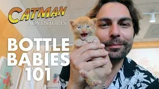 BOTTLE BABIES 101 - CATMAN ADVENTURES