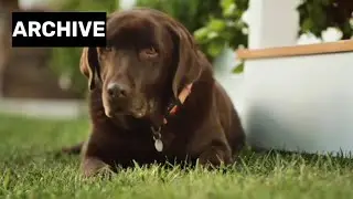 Simply Orange Commercial (2018)