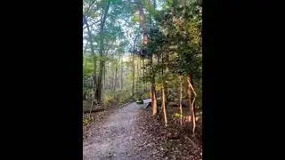 Nature Is The Only Therapy I NEED!!!           #nature #naturewalk #natureshorts #naturesanctuary