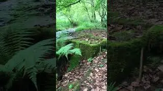 Here&rsquo;s a short video from our recent walk on the Quantock Hills in Somerset. #asmr #travel #viral ❤️