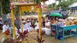 NYEPI saka 1943, PULASARI MERAPI 2021