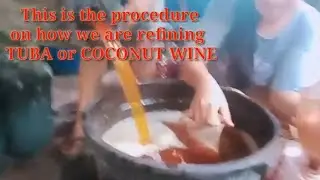 TUBA OF LEYTE REFINED COCONUT WINE TRIVIA SERIES OF TUBA ORGANIC WINE