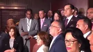 Faride Raful propone C&aacute;mara de Diputados interpele al Procurador