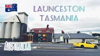 EP.29 Tasmania Part I Launceston and Surrounding (Grindlewald - Lilydale Falls- Bridestowe Lavender)