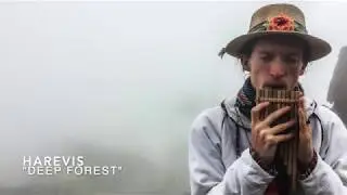 Harevis - Deep Forest - only sound version.