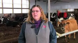 Dairy Compost Barn