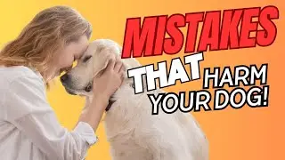 10 Serious Mistakes Dog Owners Make WITHOUT REALIZING! Avoid These to Keep Your Dog Happy!