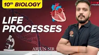 || Hi Fi Arjun classes || Class 10 Biology || NCERT||