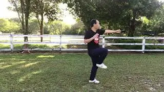 Introduction - Chen Style Tai Chi Competition Routine - 56 Postures