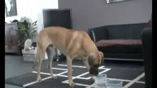 stacking bowls.wmv