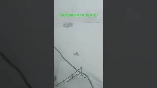 #winter #apocalypse #апокалипсис #snow