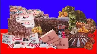 Rice & U.S Politics: The Destruction of Haiti&rsquo;s Agricultural Economy