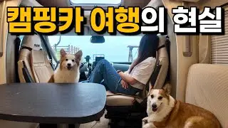 [4k] 여행의 피로를 한 방에 날려버리는 환상적인 뷰를 경험 할 수 있는 캠핑카 여행의 현실은?? / 현지인 들이 많이 찾는 숨은 맛집? 망치 매운탕! / 반려견동반 캠핑카여행