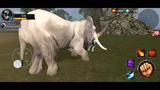 ELEPHANT VS BEAR / BIG FIGHT IN THE WILDERNESS