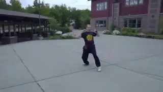 Ng Ying Kuen (Five Animals) form - Practice
