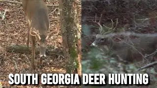 South Georgia Deer Hunting | Self Filmed | 2020 Deer Season
