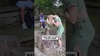 Самые смешные провалы животных в 2025 году на данный момент 😹🙊🐻
